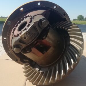 Differential Michigan
